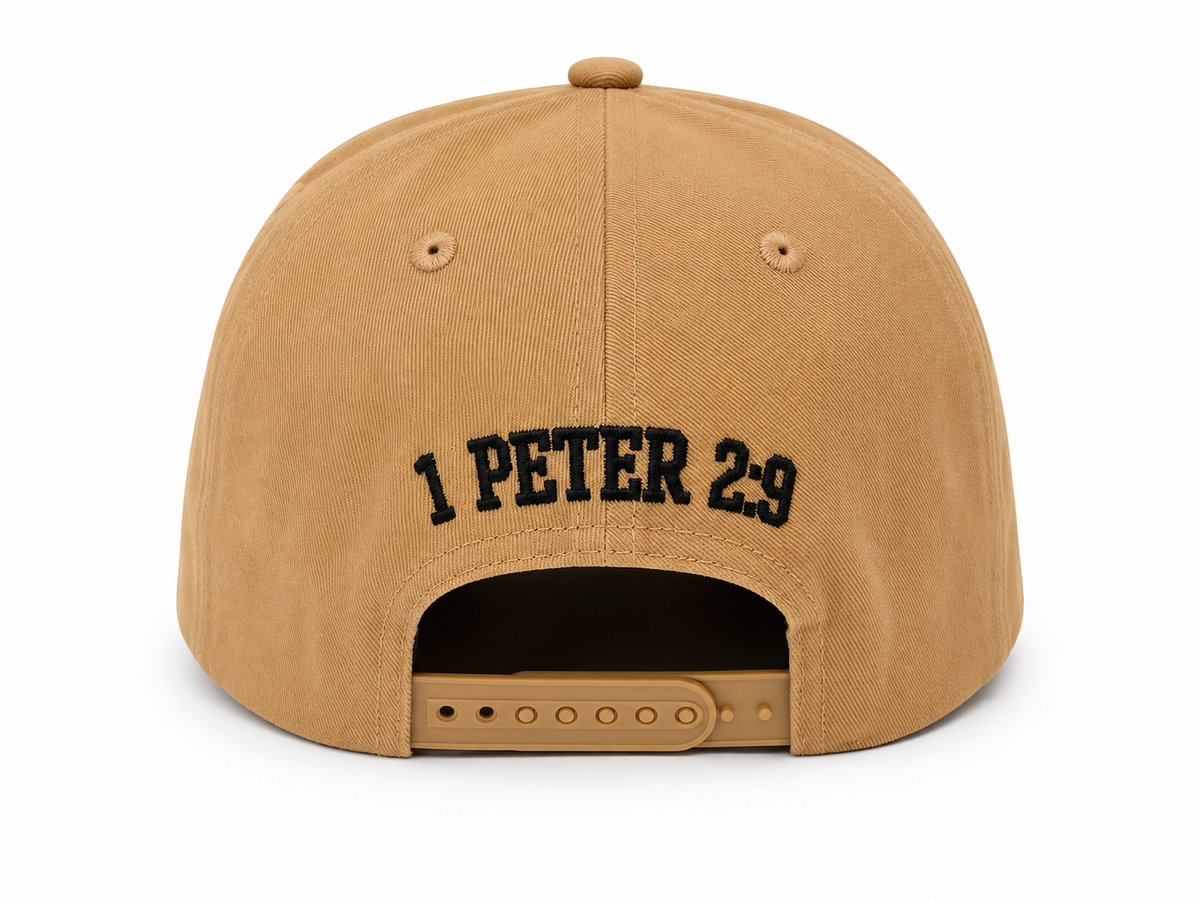 SET APART SNAPBACK